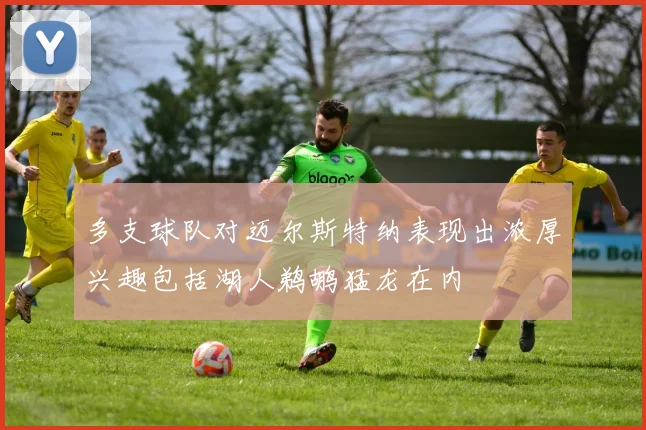 多支球队对迈尔斯特纳表现出浓厚兴趣包括湖人鹈鹕猛龙在内